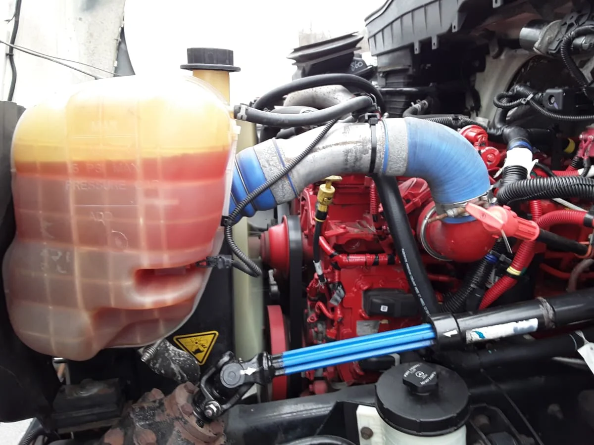 2019 International MV - image 5