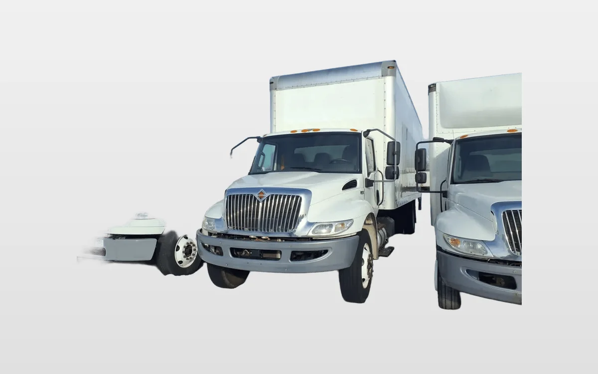 2019 International - image 1