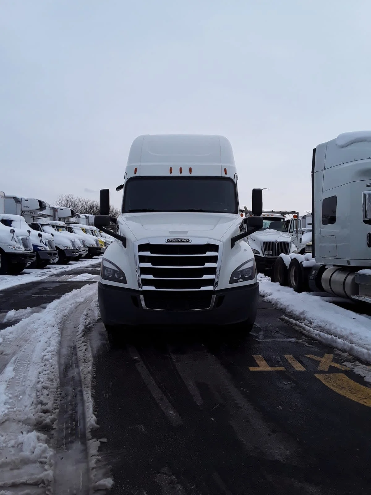 2020 Freightliner Cascadia - image 2