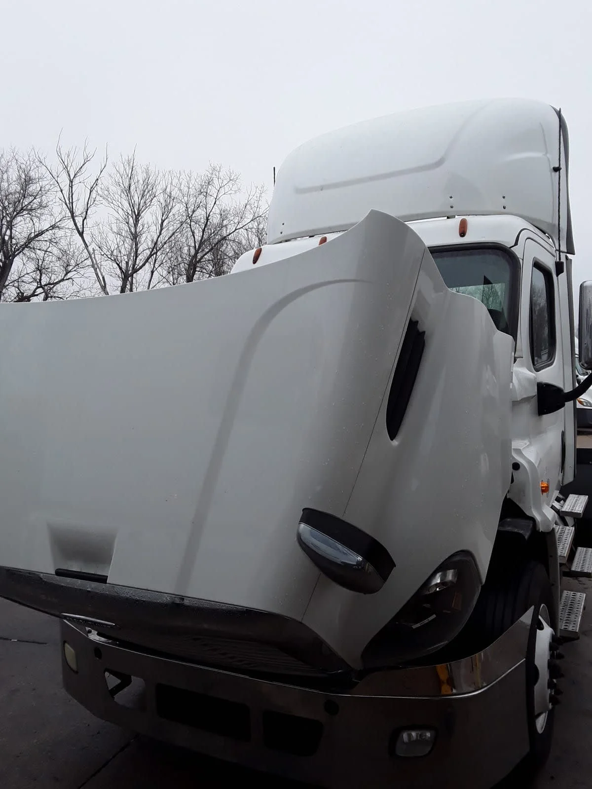 2017 Freightliner Cascadia - image 2