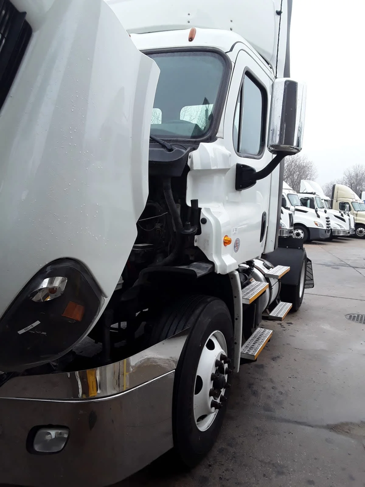 2017 Freightliner Cascadia in Kansas City, MO
