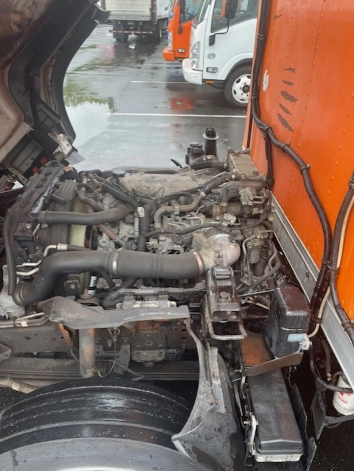 2019 Isuzu NQR in Farmingdale, NY — photo 10