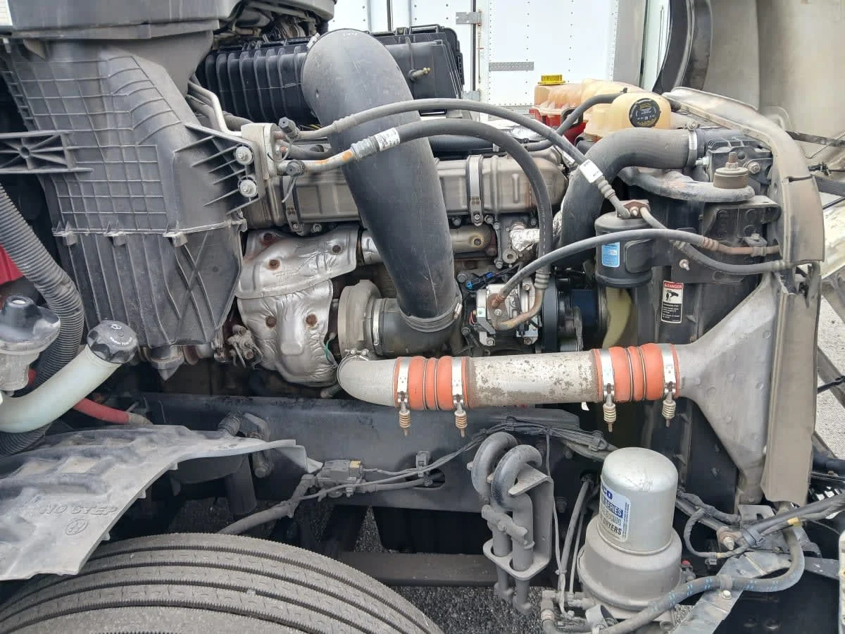 2020 Freightliner Cascadia in Jacksonville, FL — photo 12