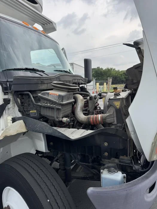 2019 International MV — photo 11