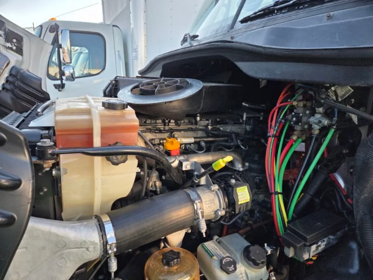 2018 Freightliner Cascadia in St. Rose, LA — photo 8