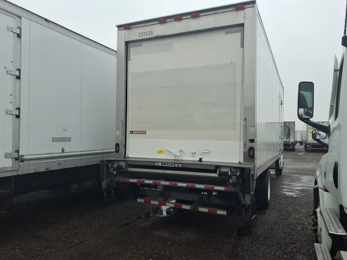 2019 International MV - image 4