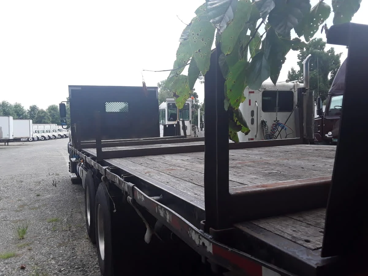 2019 Freightliner M2 112 - image 5