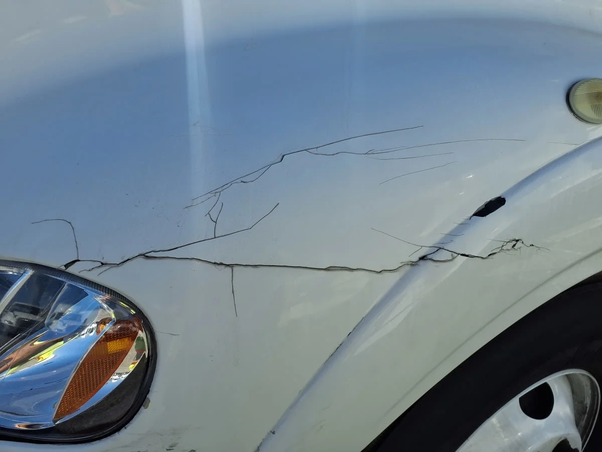 2019 Freightliner M2 112 - image 12