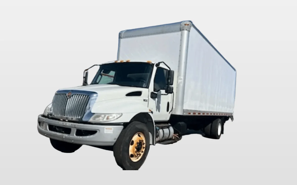 2019 International - image 1