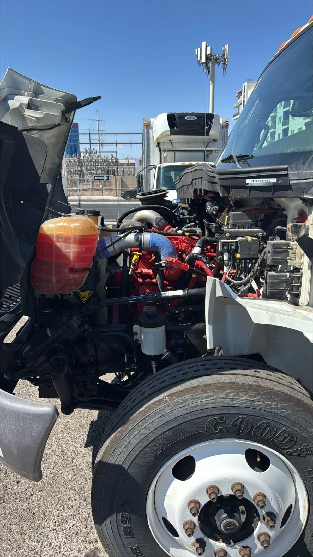 2019 International MV in North Las Vegas, NV — photo 9