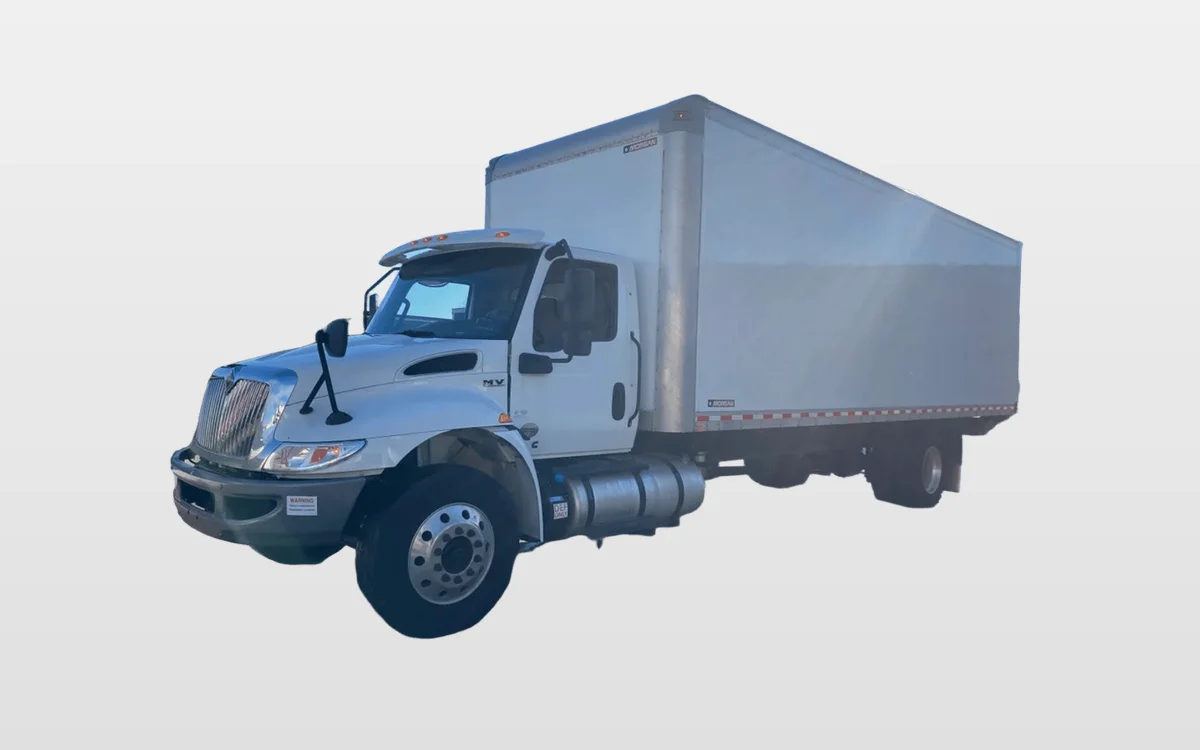 2021 International - image 1