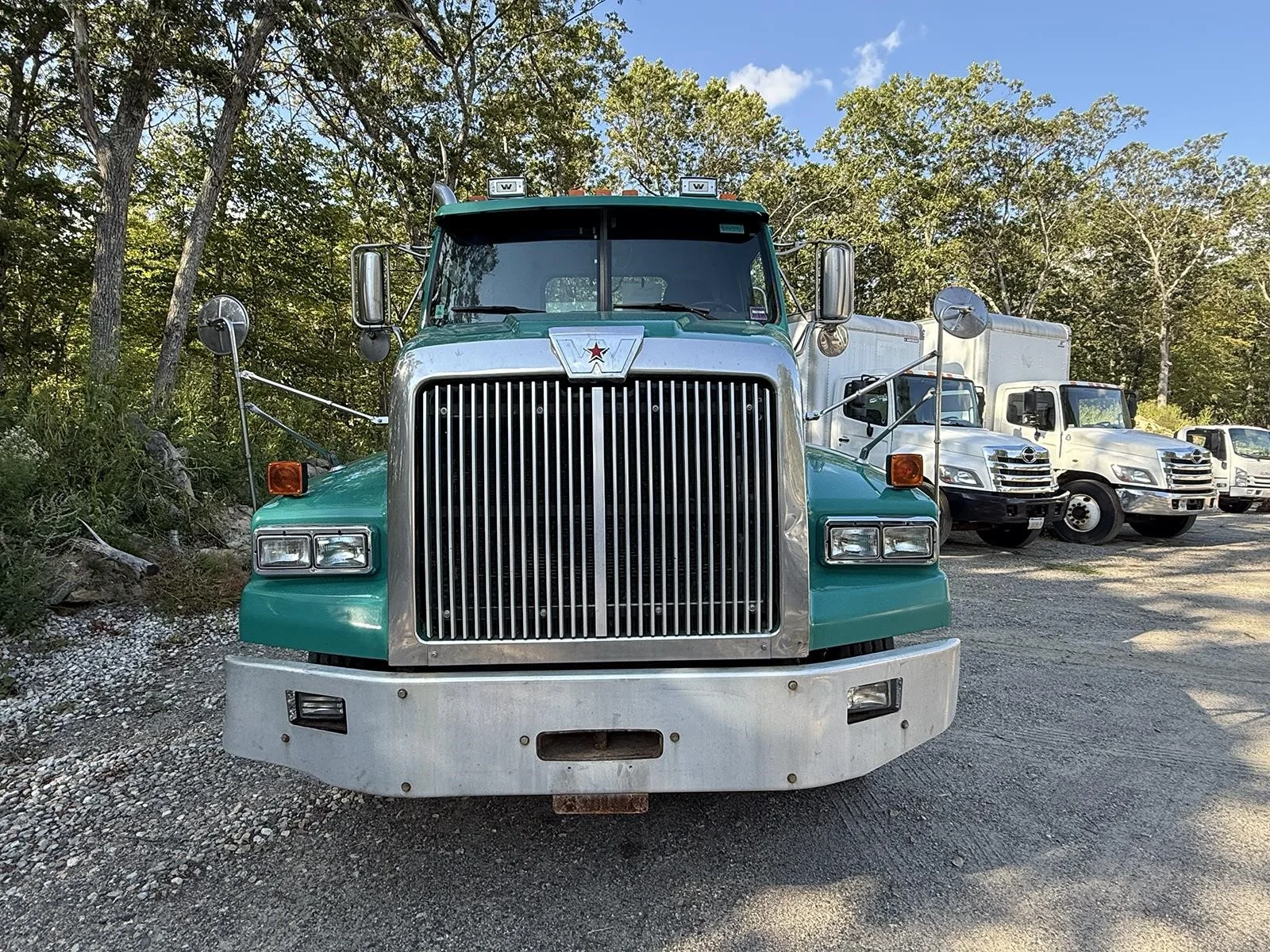 2016 Western Star 4900 - image 2