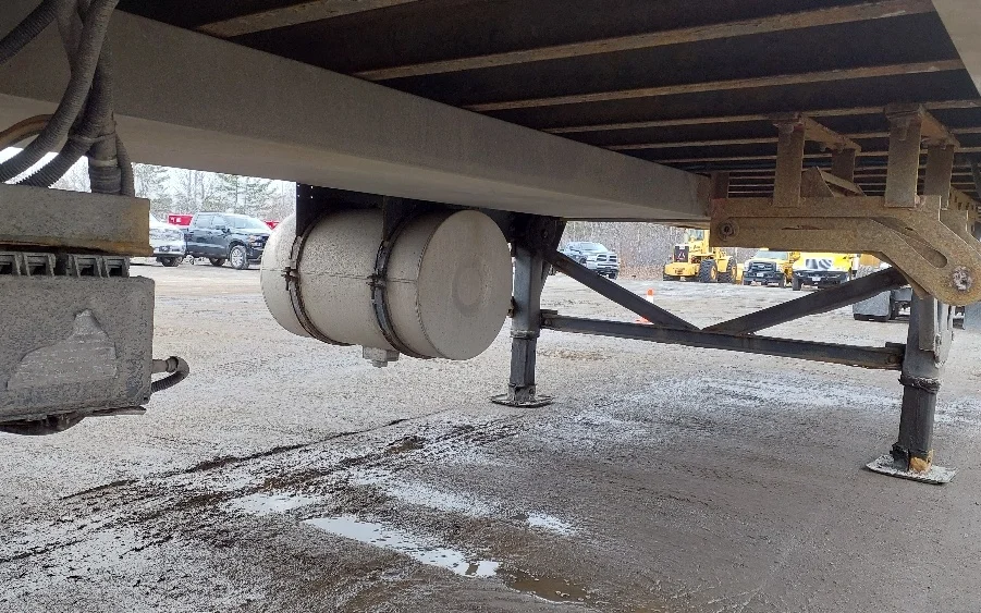 2018 Great Dane - image 5