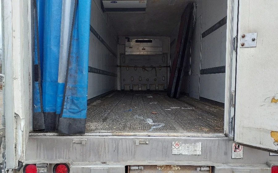 2018 Great Dane - image 8