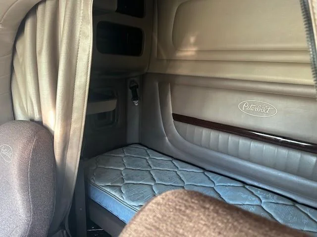 2019 Peterbilt 389 - image 9