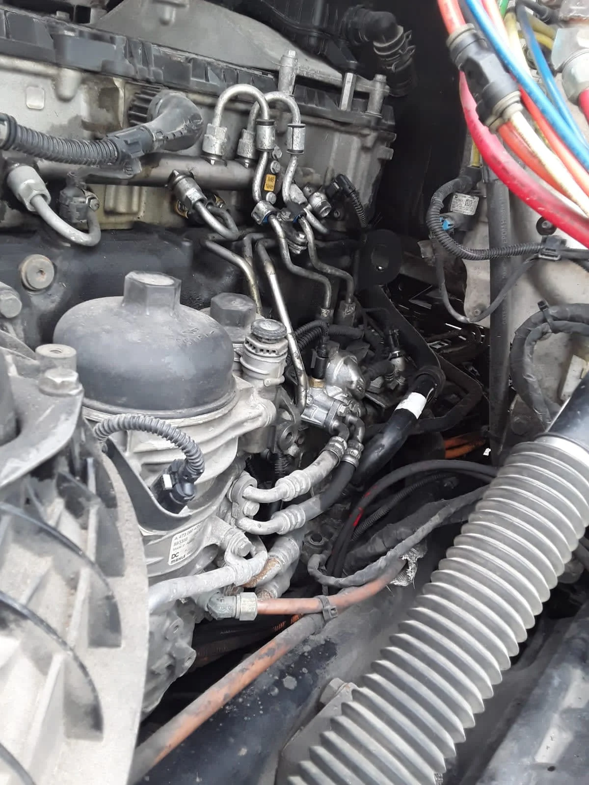 2020 Freightliner Cascadia in La Vergne, TN — photo 11