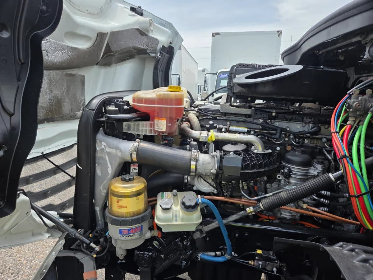 2019 Freightliner Cascadia in St. Rose, LA — photo 8