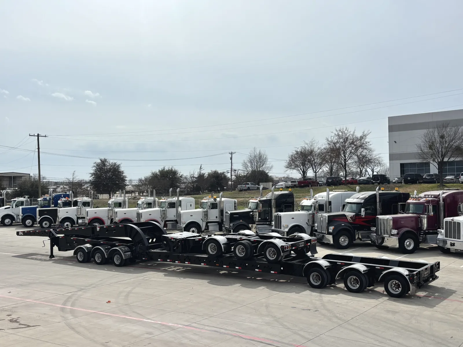 2017 XL Specialized - image 3