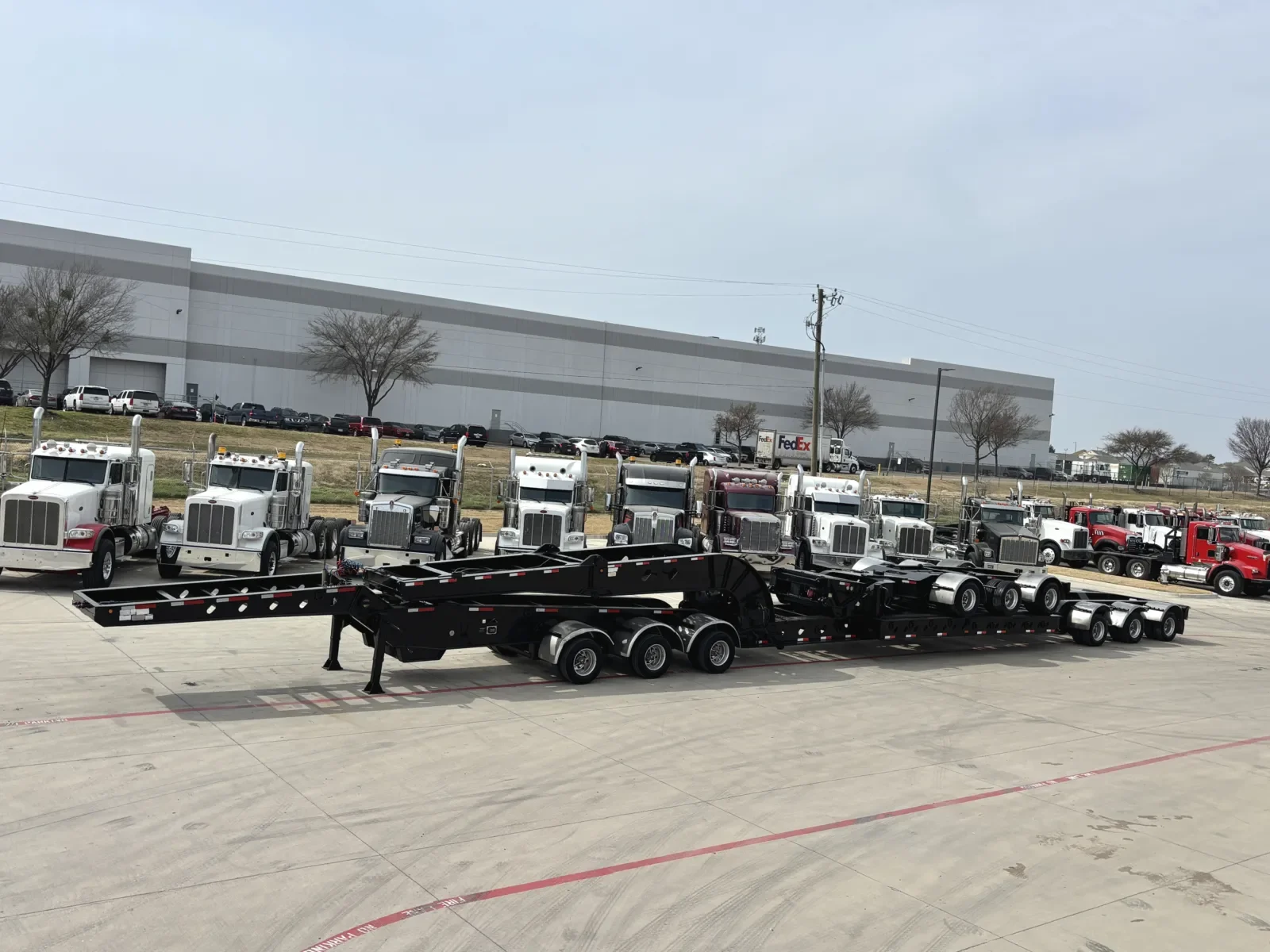 2017 XL Specialized - image 1