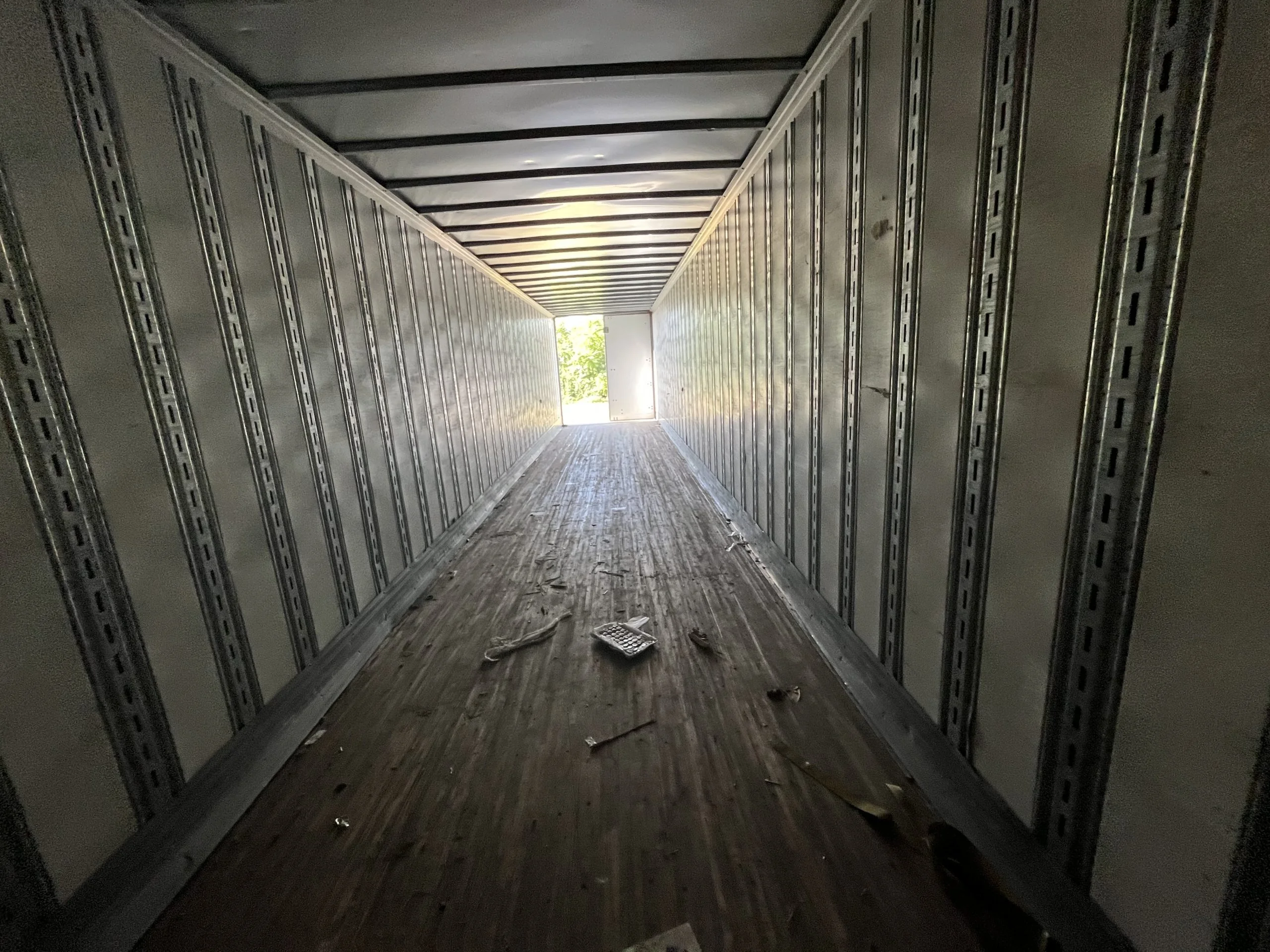 2021 Great Dane in Wayne, MI — photo 2
