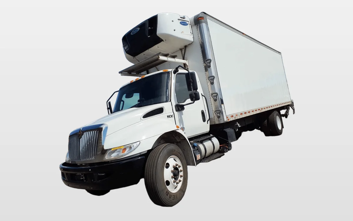 2019 International - image 1