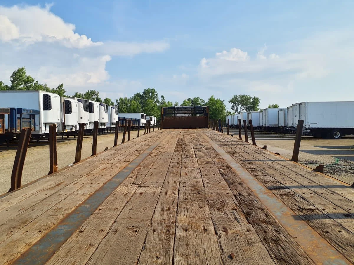 2013 Great Dane - image 7