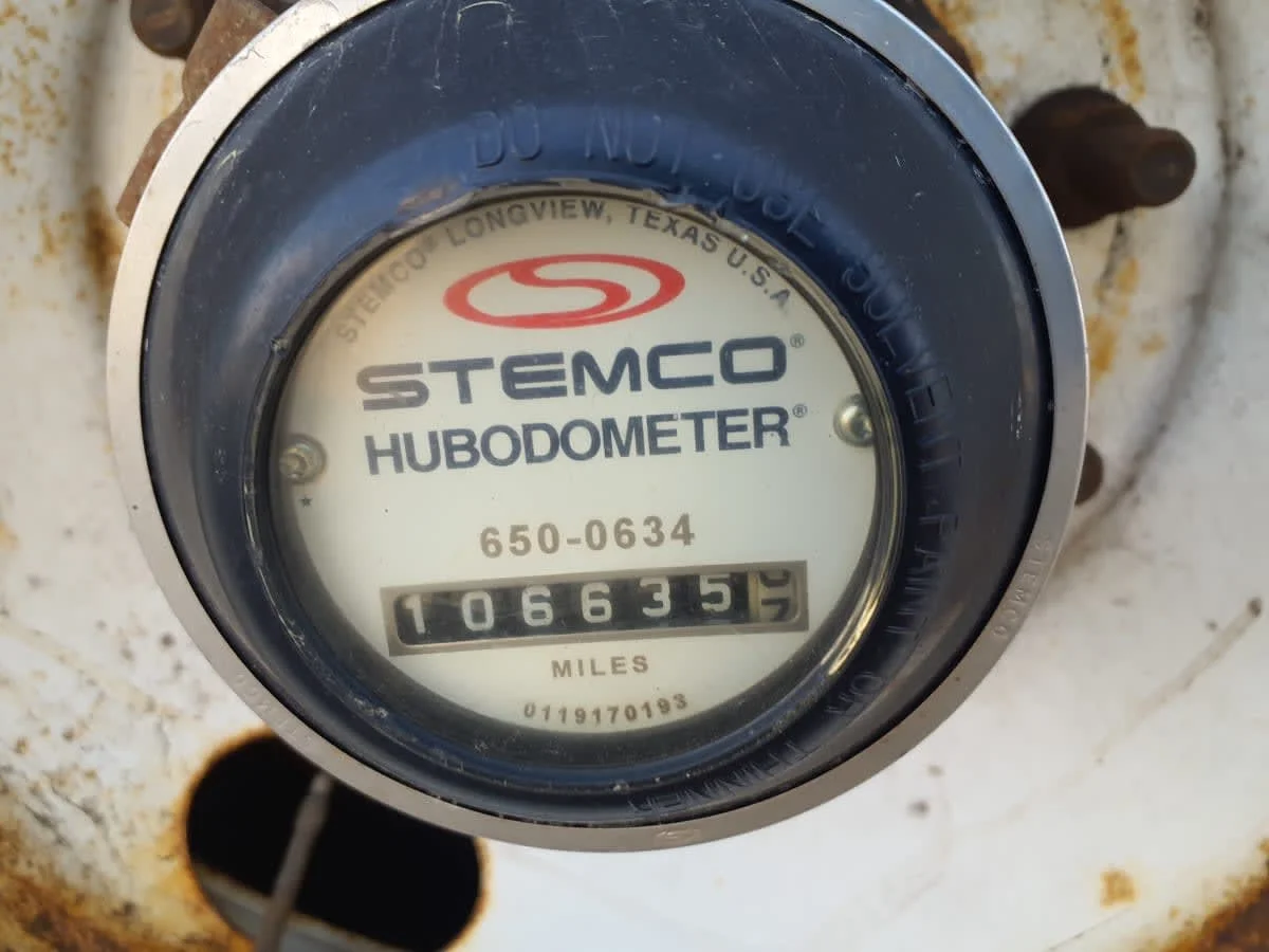 2013 Great Dane - image 9