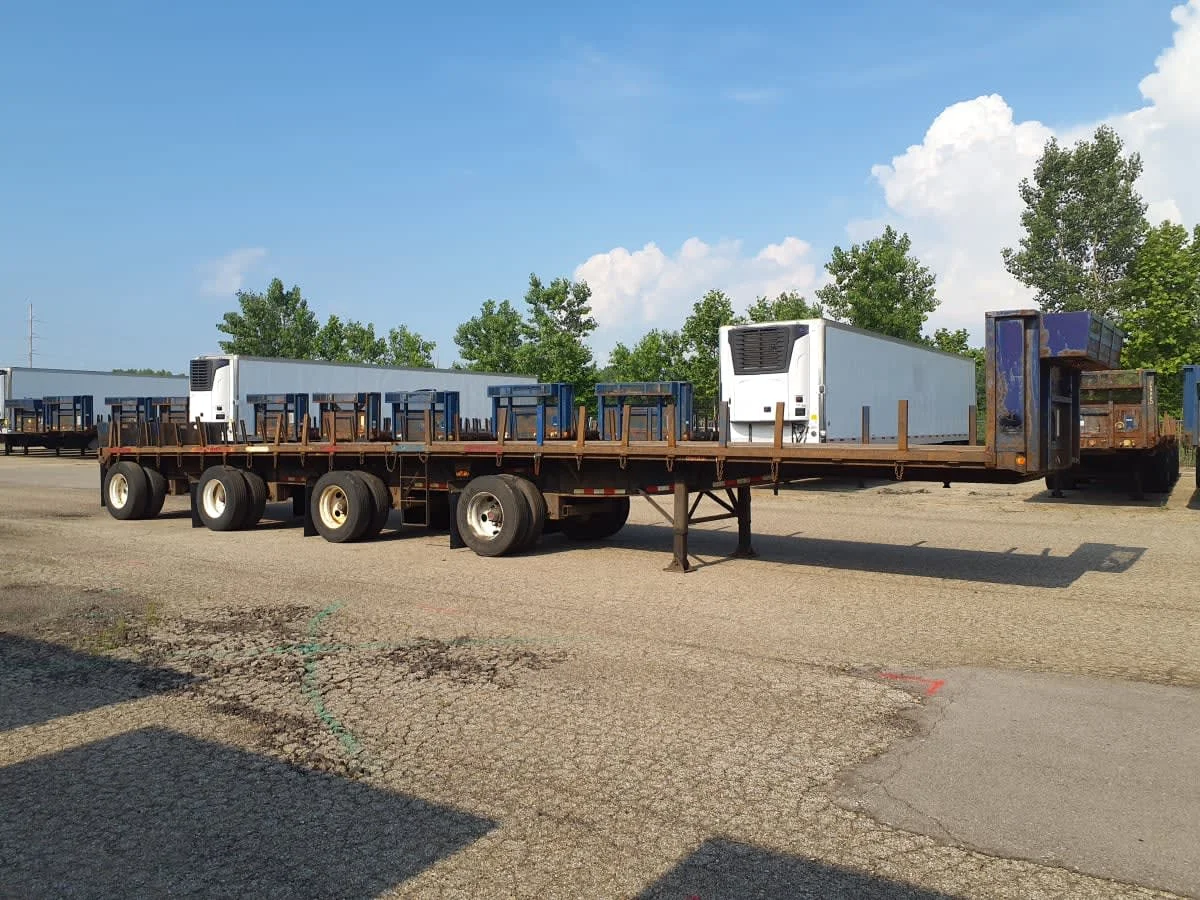 2013 Great Dane - image 3