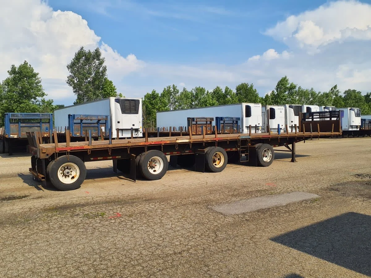 2013 Great Dane - image 4