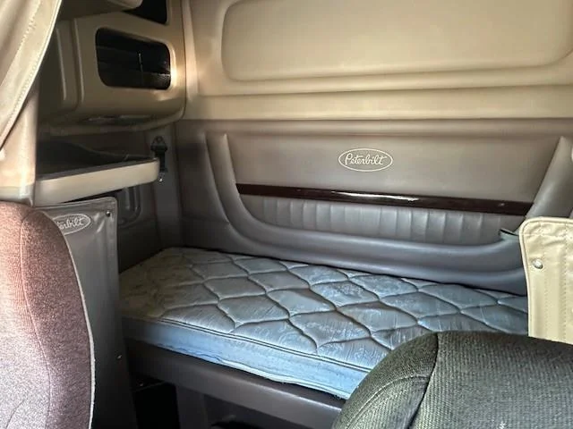 2019 Peterbilt 389 - image 9