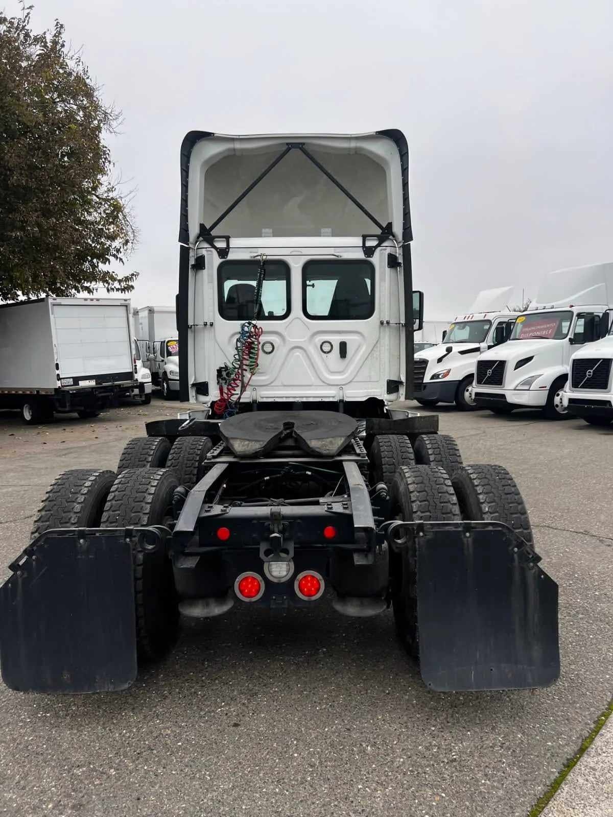 2019 Freightliner Cascadia - image 5