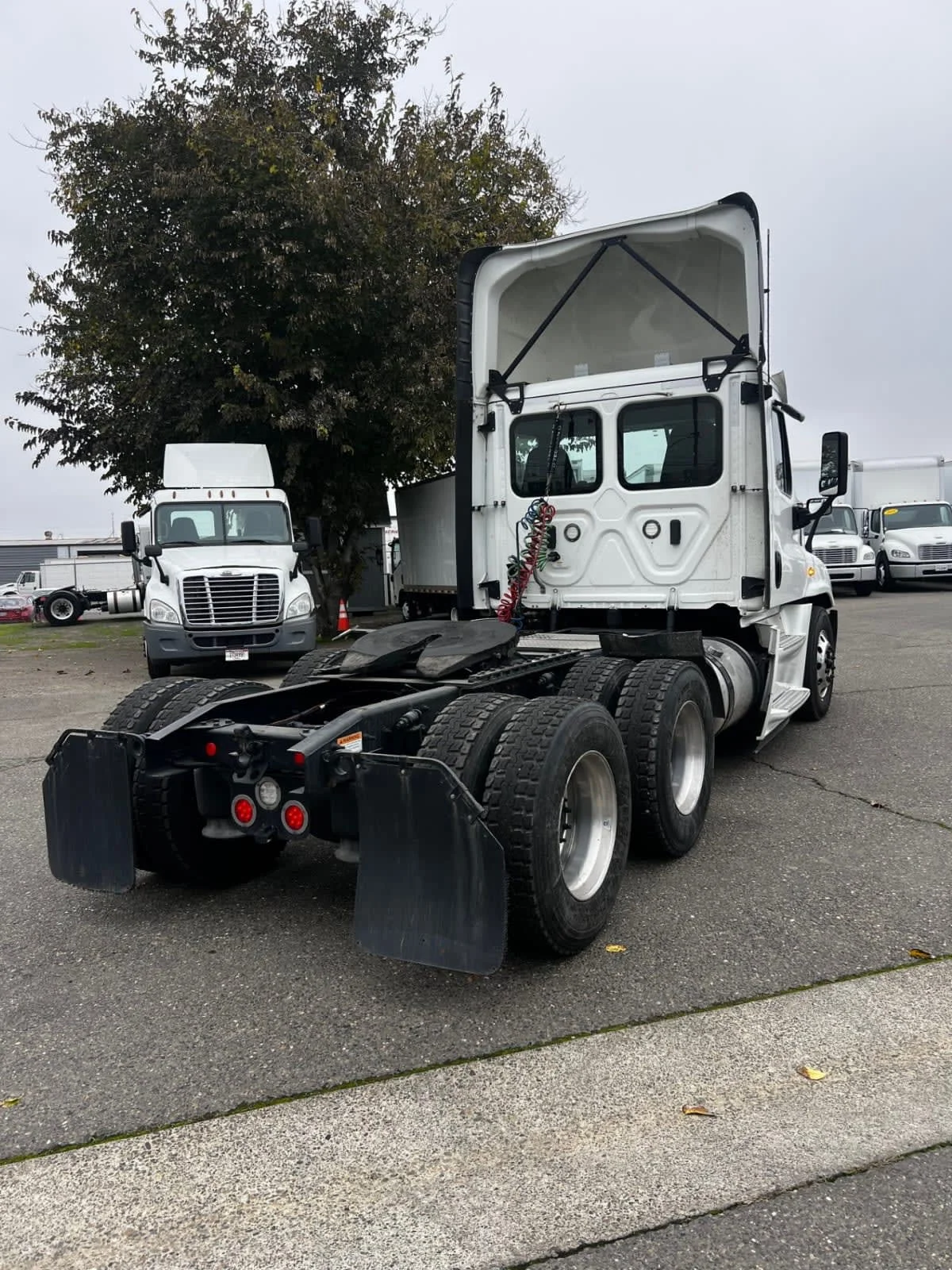 2019 Freightliner Cascadia - image 4