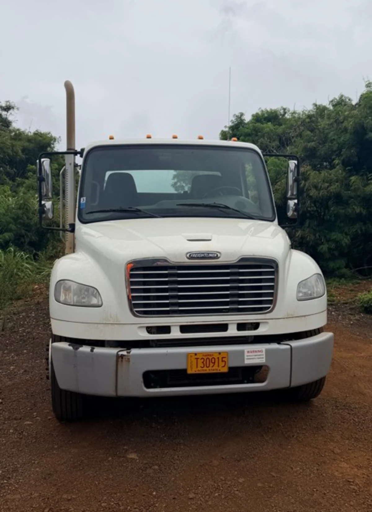 2017 Freightliner M2 106