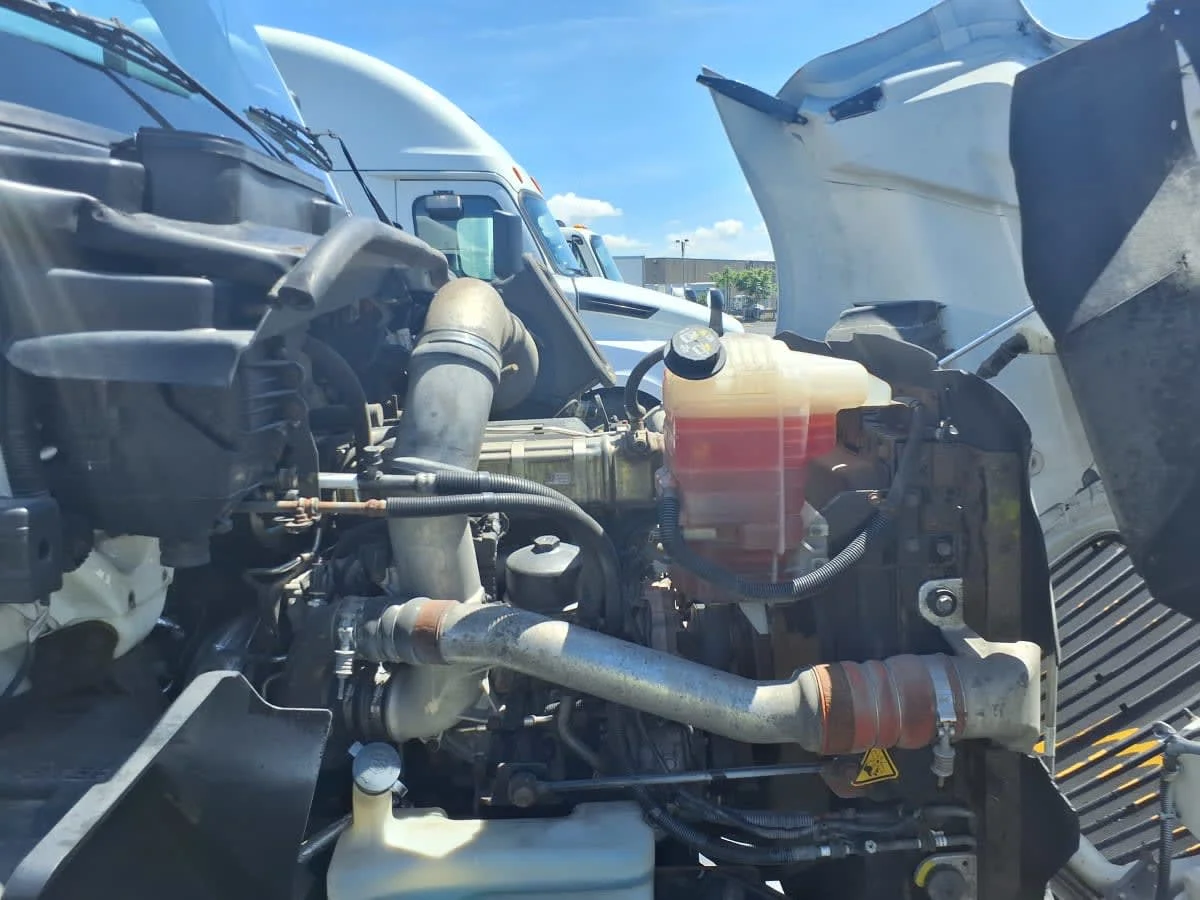 2019 International RH - image 8