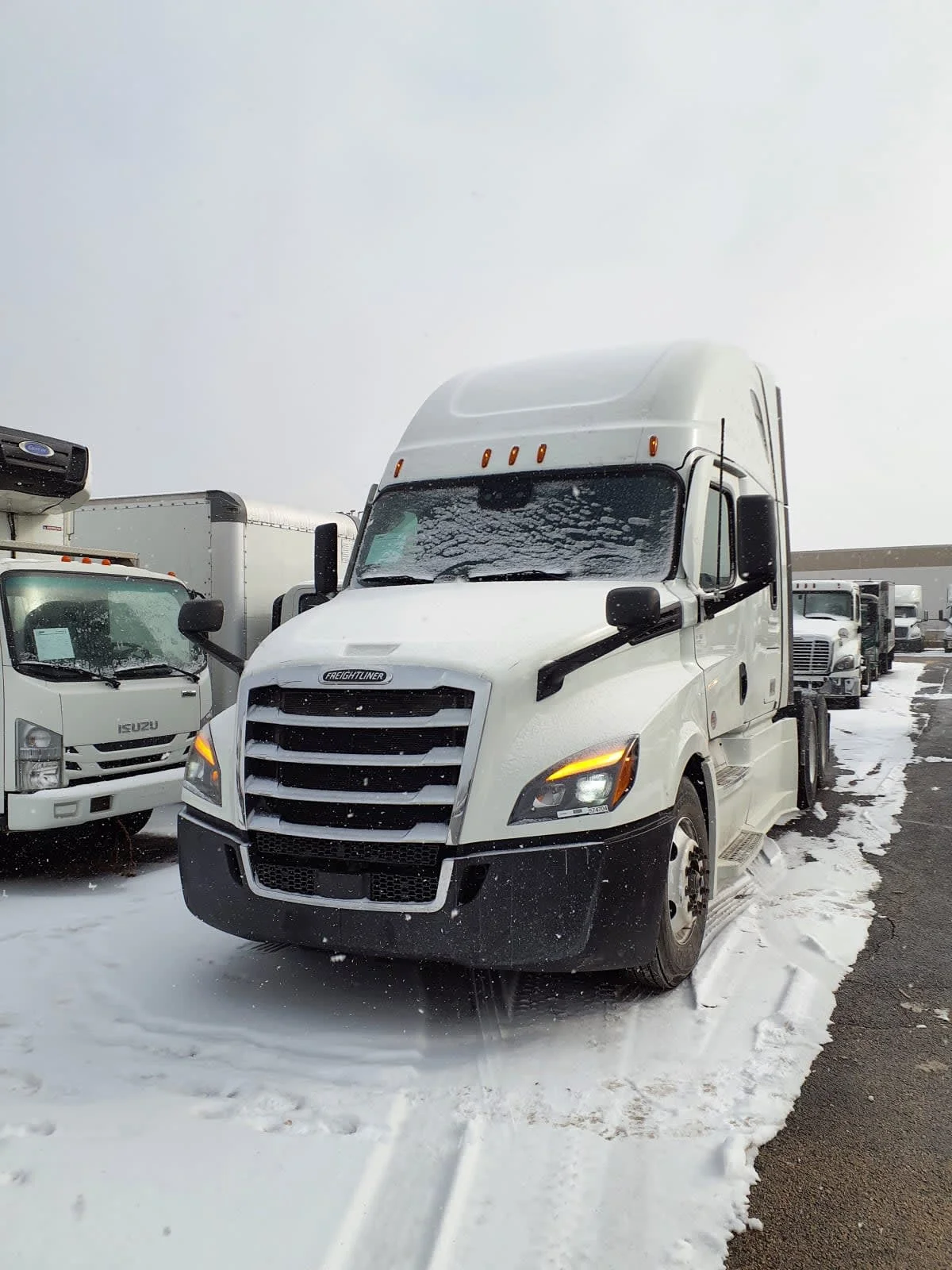 2022 Freightliner Cascadia in Bolingbrook, IL