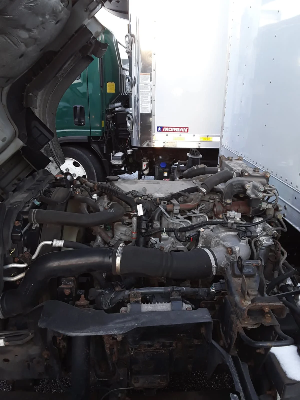 2020 Isuzu NQR in Bolingbrook, IL — photo 9