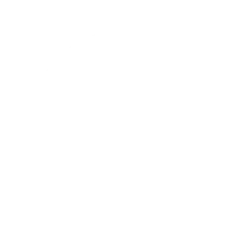 2024 Volvo VNL 860 - image 3