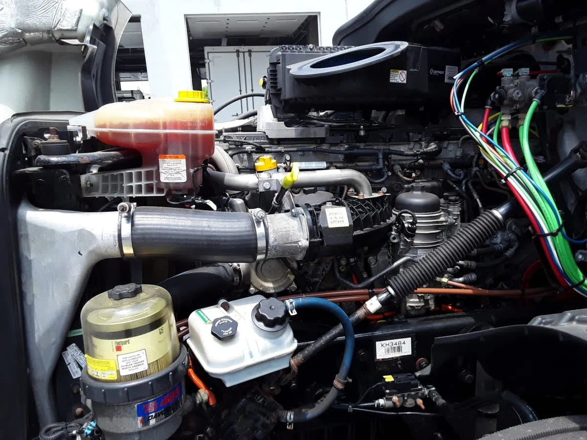 2019 Freightliner Cascadia in Allentown, PA — photo 8