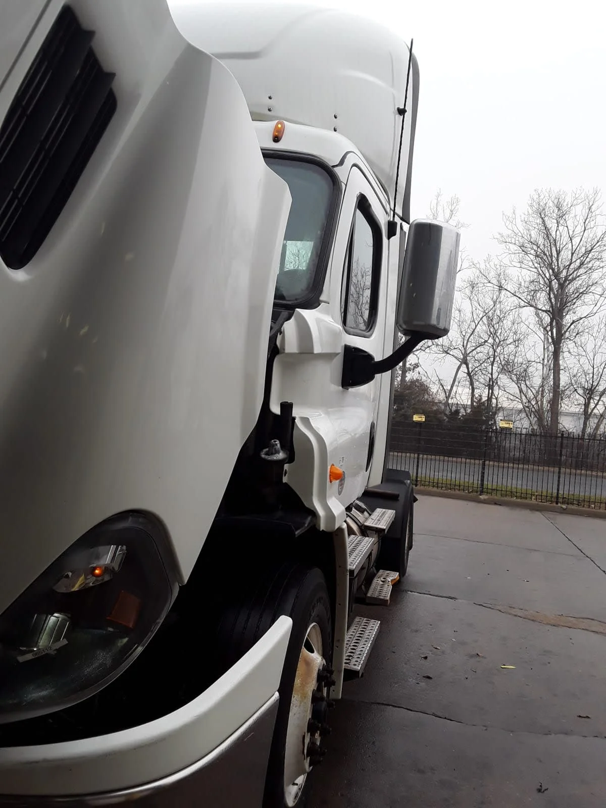 2017 Freightliner Cascadia in Kansas City, MO