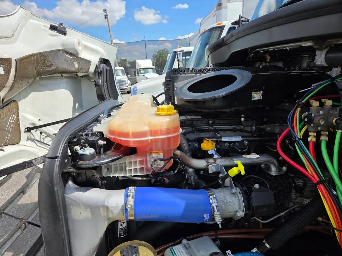 2020 Freightliner Cascadia in St. Rose, LA — photo 8