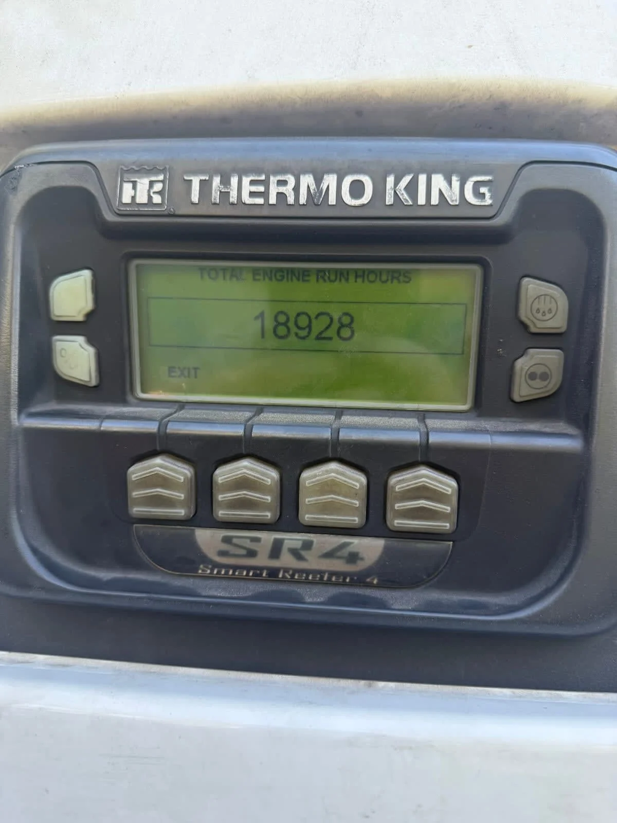 2017 in Tampa, FL — photo 7