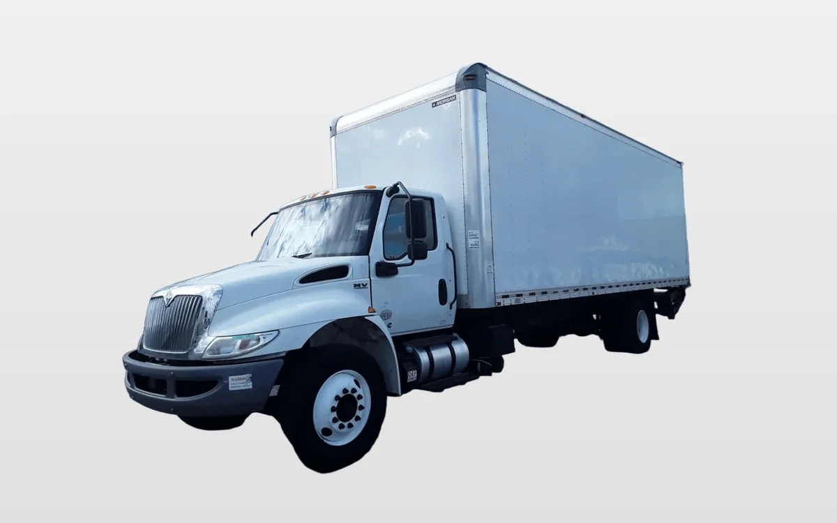 2019 International - image 1