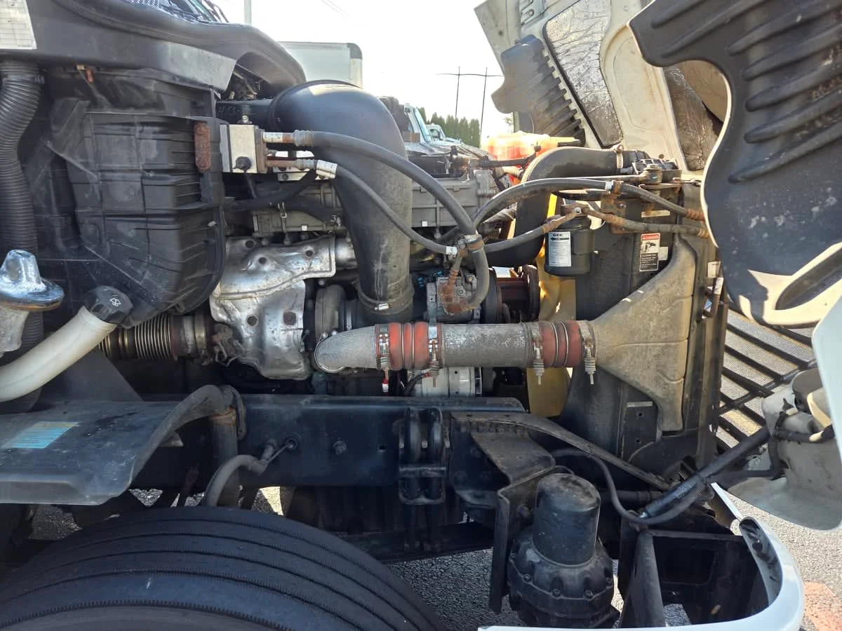 2019 Freightliner Cascadia in Allentown, PA — photo 8
