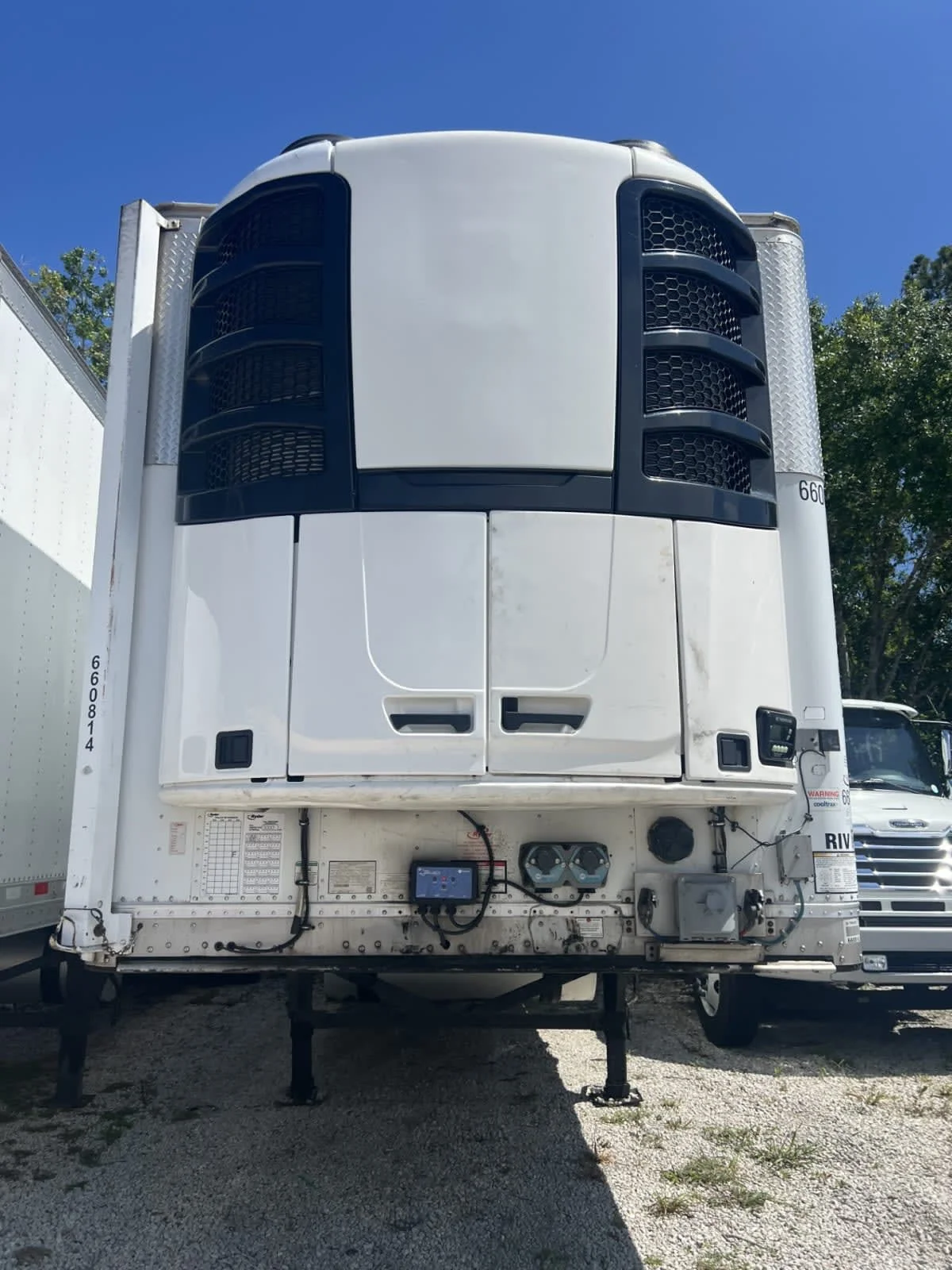 2017 Great Dane in Davie, FL — photo 7