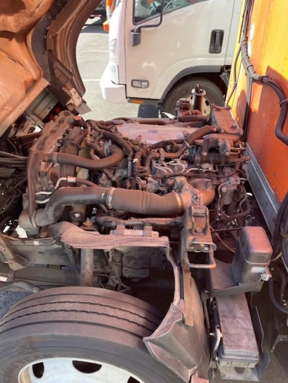 2019 Isuzu NQR in Farmingdale, NY — photo 10