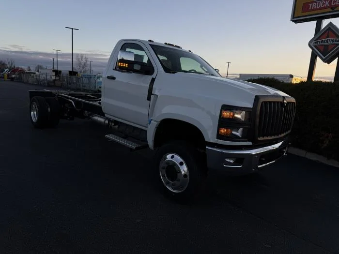 2024 International - image 4