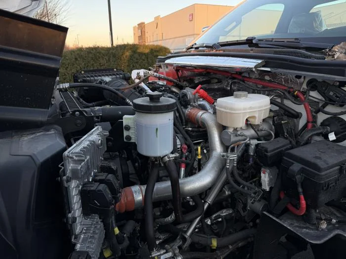 2024 International - image 13