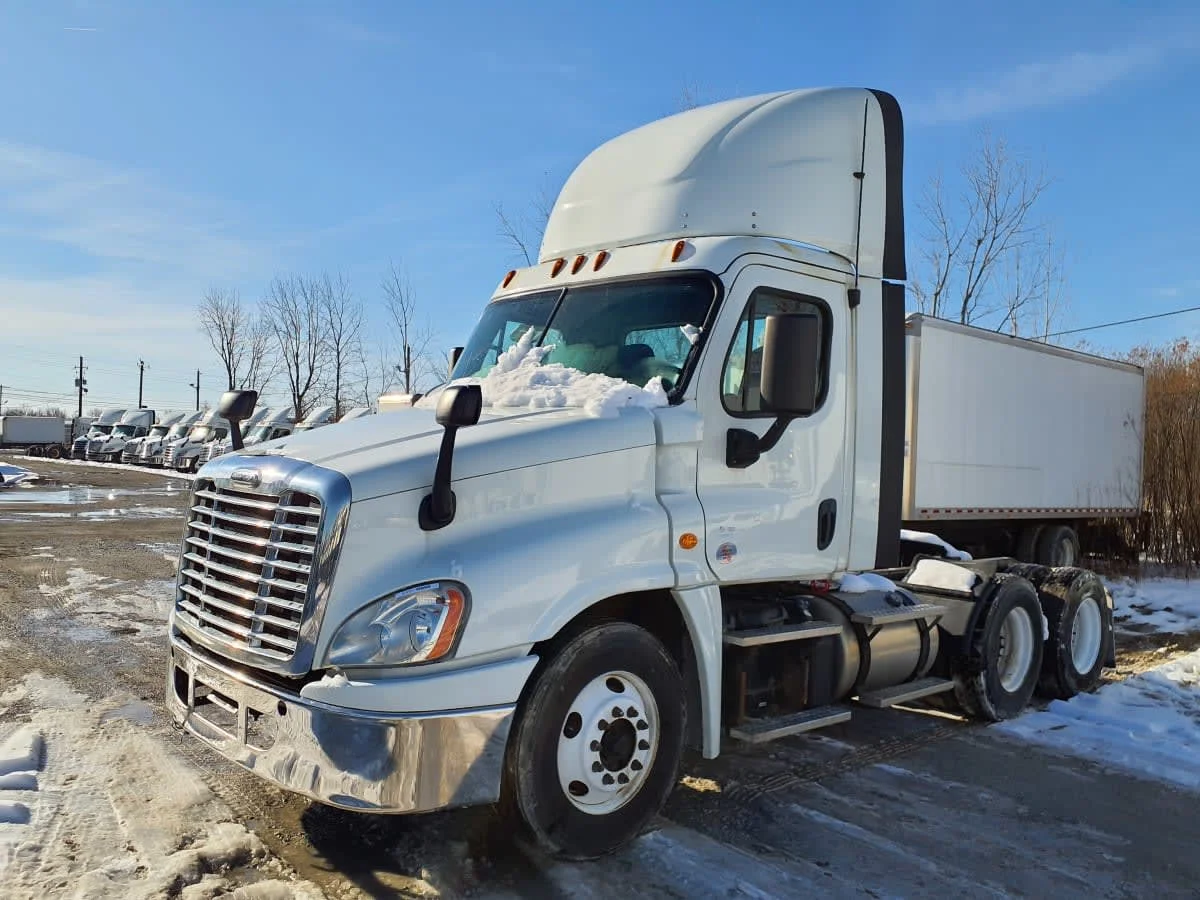 2019 Freightliner Cascadia in Indianapolis, IN