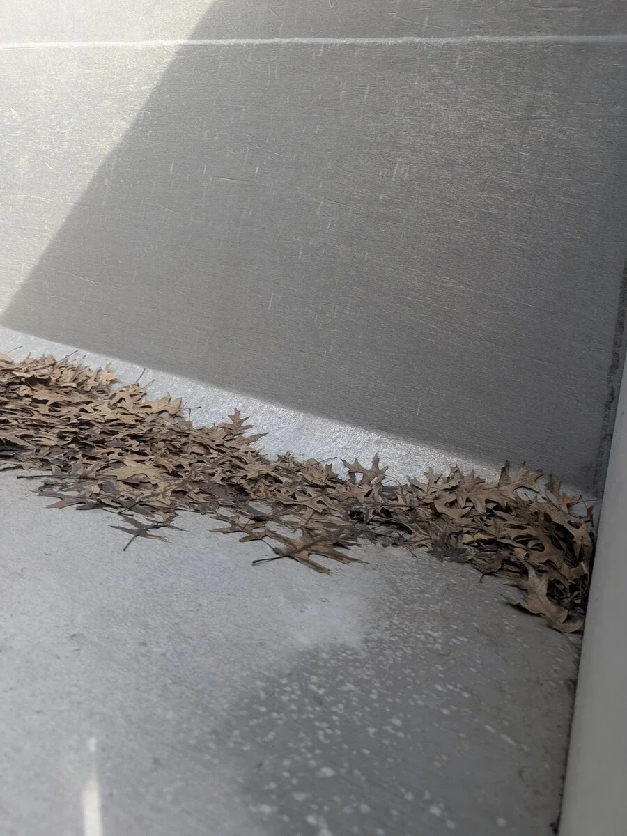 2019 International HX - image 37