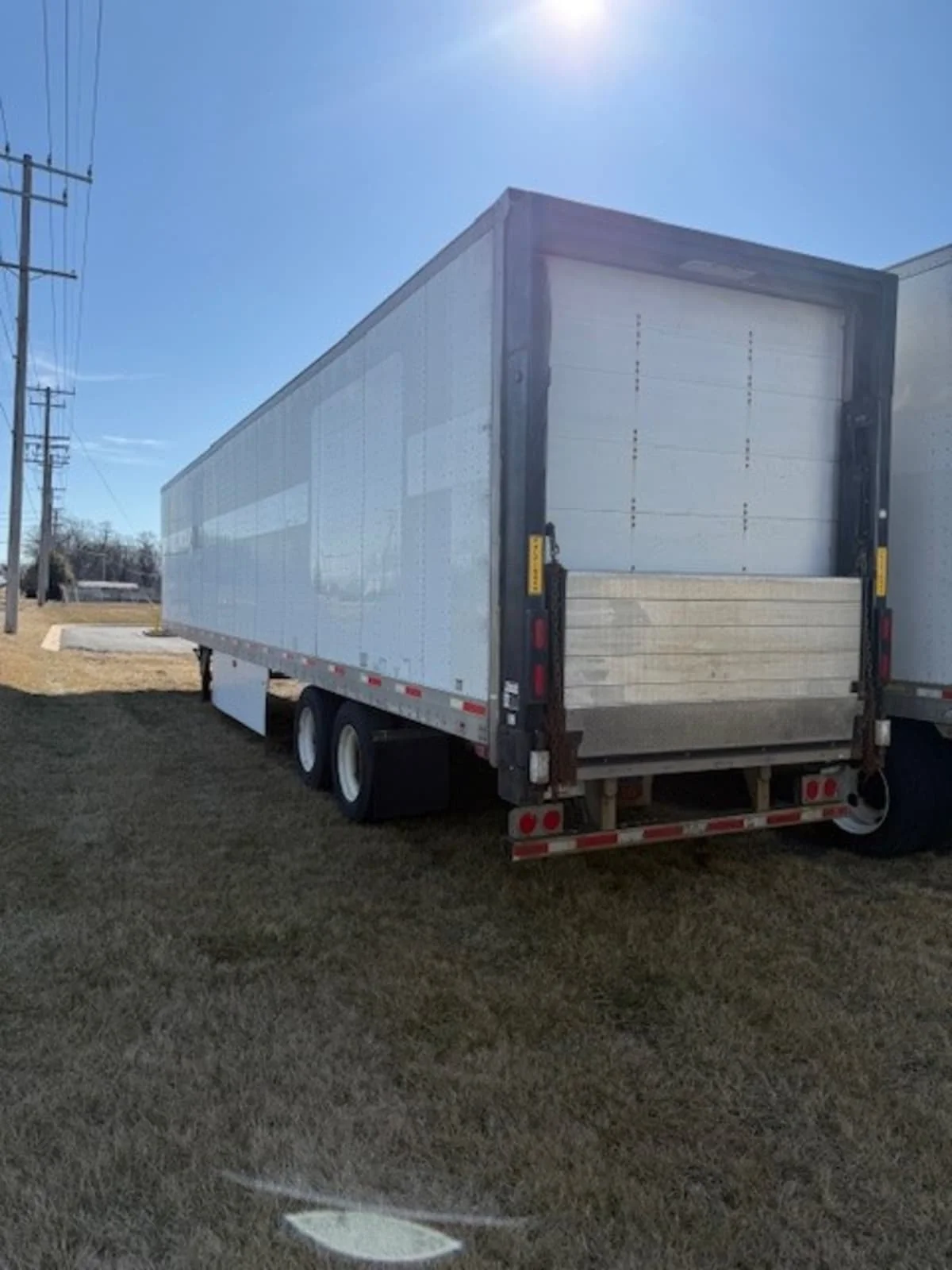 2009 Great Dane - image 5